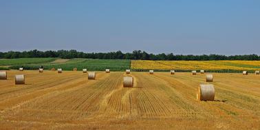 Wheatfield Straw Bale Agriculture view