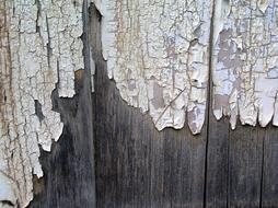 Peeling Paint Wooden Texture