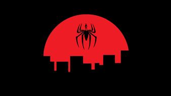 spider man spider insect design