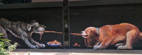Dogs Fun Street