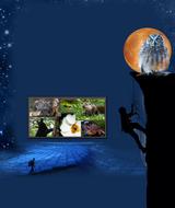 Graphic Design Movie Poster