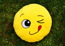 smile cute yellow grass