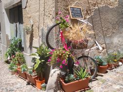 Sardinia Bicicle