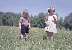 Children on Meadow at summer