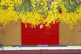 doors red yellow house