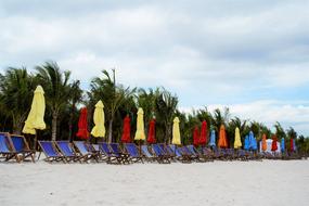 The Beach chairs