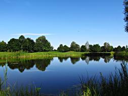 Water Pond bank Landscape