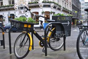 London Flowers Uk bicycle