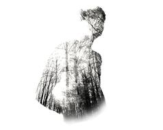 forest in male silhouette