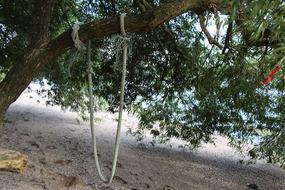 Swing Rope Beach Hold