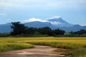 Road Rice Field Mountain
