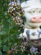 flowers on the background of a cow sculpture
