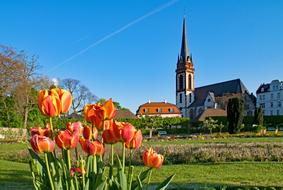 Prince Georgs-Garden Darmstadt church