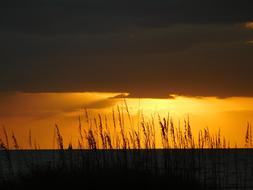 Sunset Sun Sunlight