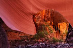 Red Rocks Zion National Park