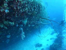 Scuba Diving Underwater Shipwreck