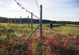 man near the fence on the field in the countryside