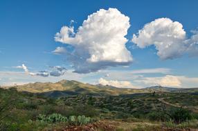 Clouds Desert Cactus