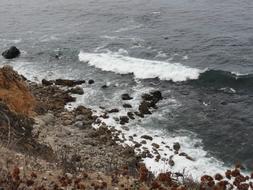 Beach Ocean Water