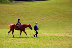 Horse Racing Ride on the endless green field