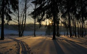 Winter Snowy nature at sunset