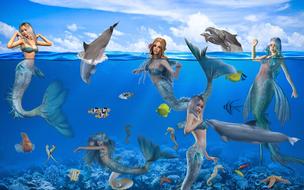 fabulous mermaids and fish in the ocean