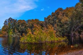 Lake Forest Park