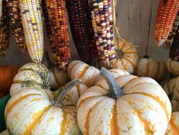 pumpkin and corn
