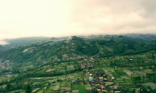 Landscape of Village fields
