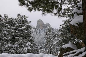 Snow Winter Landscape