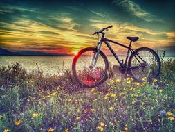 Chalkida Cubebikes