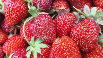 Strawberry Berry Red Berries