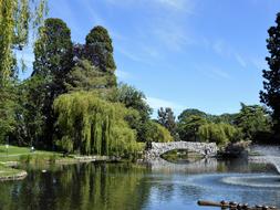 park with a lake and trees