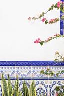 flowers and blue tile wall