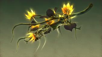 Flowers Nature Plant