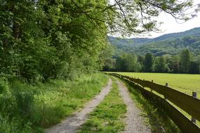 Away Nature Trees