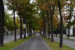 Forest Road