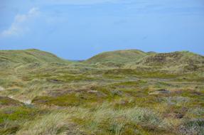 Denmark Husby Klitplantage