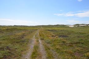 Denmark Husby Klitplantage