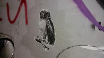 Owl Paint on Wall