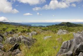 New Zealand The Coast View