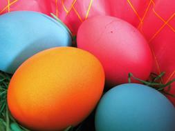 beautiful colorful eggs