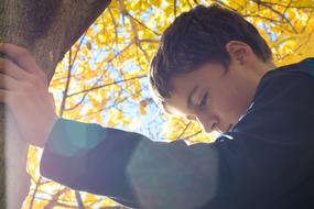 Boy on tree at sunlight