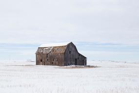 House Cabin Barn on white grass