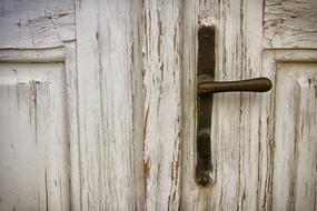 Wood Door Knob