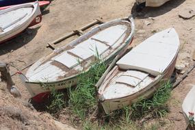 Boat Sea Grass