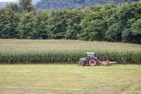 Agriculture Tractor on Corn field