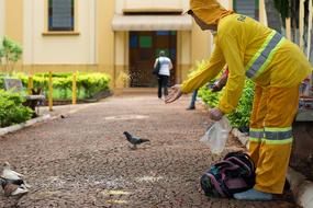 Worker and Dove on street