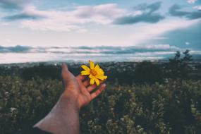 beautiful flowers in a man's hand
