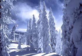 Mountain Snow Winter